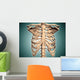 Close-up Human Rib Cage Wall Decal