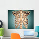 Close-up Human Rib Cage Wall Decal