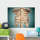 Close-up Human Rib Cage Wall Decal