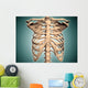 Close-up Human Rib Cage Wall Decal