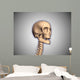 Conceptual Image Human Skull Wall Decal Design 1