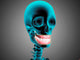 X-ray Human Skeleton Showing Wall Decal