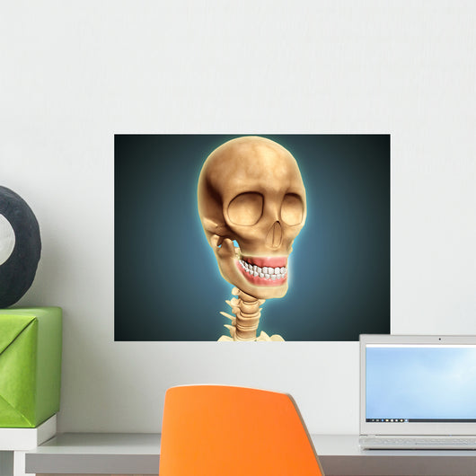 Human Skeleton Showing Teeth Wall Decal