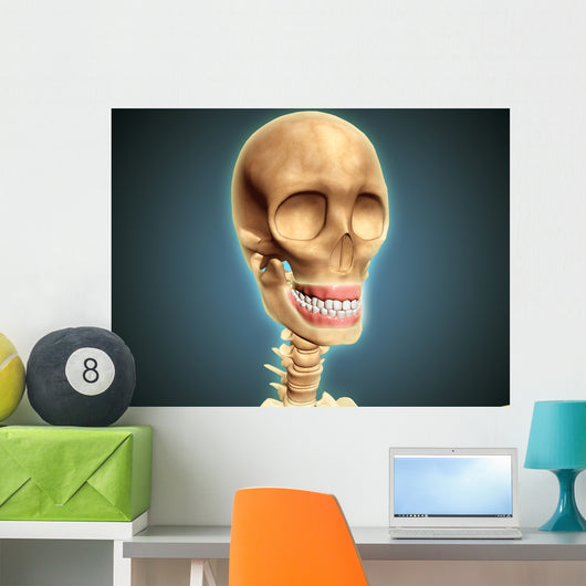 Human Skeleton Showing Teeth Wall Decal