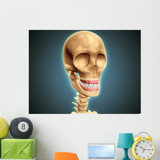 Human Skeleton Showing Teeth Wall Decal