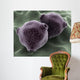 Microscopic Birch Tree Pollen Wall Decal