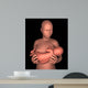 Mother Breastfeeding Baby Wall Decal Design 2