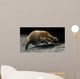 Microscopic Visualization Dust Mite Wall Decal Design 4