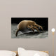 Microscopic Visualization Dust Mite Wall Decal Design 4