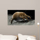 Microscopic Visualization Dust Mite Wall Decal Design 4