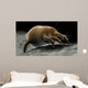 Microscopic Visualization Dust Mite Wall Decal Design 4