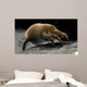 Microscopic Visualization Dust Mite Wall Decal Design 4