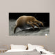 Microscopic Visualization Dust Mite Wall Decal Design 4