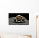 Microscopic Visualization Dust Mite Wall Decal Design 3