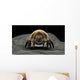 Microscopic Visualization Dust Mite Wall Decal Design 3