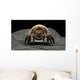 Microscopic Visualization Dust Mite Wall Decal Design 3