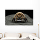 Microscopic Visualization Dust Mite Wall Decal Design 3