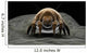 Microscopic Visualization Dust Mite Wall Decal Design 3