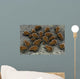 Microscopic Visualization Dust Mite Wall Decal Design 2
