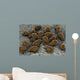 Microscopic Visualization Dust Mite Wall Decal Design 2