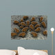 Microscopic Visualization Dust Mite Wall Decal Design 2