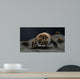 Microscopic Visualization Dust Mite Wall Decal Design 1
