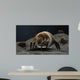 Microscopic Visualization Dust Mite Wall Decal Design 1