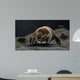 Microscopic Visualization Dust Mite Wall Decal Design 1