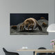 Microscopic Visualization Dust Mite Wall Decal Design 1