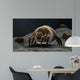 Microscopic Visualization Dust Mite Wall Decal Design 1