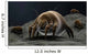 Microscopic Visualization Dust Mite Wall Decal Design 1