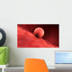 Biomedical Illustration Embryo Implantation Wall Decal