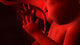 Fetus inside Womb Wall Decal Design 3