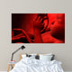 Fetus inside Womb Wall Decal Design 2