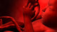 Fetus inside Womb Wall Decal Design 2