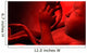 Fetus inside Womb Wall Decal Design 2
