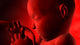 Fetus inside Womb Wall Decal Design 1