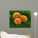 Microscopic Visualization Grass Pollen Wall Decal Design 2