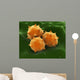 Microscopic Visualization Grass Pollen Wall Decal Design 2