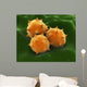 Microscopic Visualization Grass Pollen Wall Decal Design 2