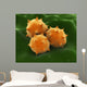 Microscopic Visualization Grass Pollen Wall Decal Design 2