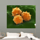 Microscopic Visualization Grass Pollen Wall Decal Design 2