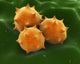 Microscopic Visualization Grass Pollen Wall Decal Design 2