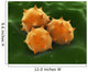 Microscopic Visualization Grass Pollen Wall Decal Design 2