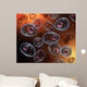 Conceptual Image Mast Cells Wall Decal