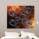 Conceptual Image Mast Cells Wall Decal
