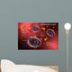 Mast Cell Releasing Histamine Wall Decal