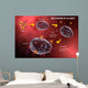 Mast Cell Releasing Histamine Wall Decal