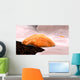 Osteoclast Breaking down Bone Wall Decal Design 2
