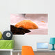 Osteoclast Breaking down Bone Wall Decal Design 2